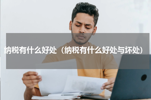 纳税有什么好处（纳税有什么好处与坏处）