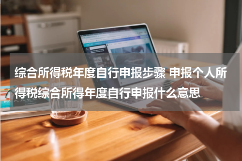 综合所得税年度自行申报步骤 申报个人所得税综合所得年度自行申报什么意思
