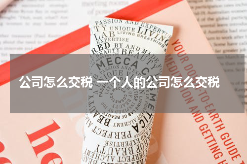 公司怎么交税 一个人的公司怎么交税