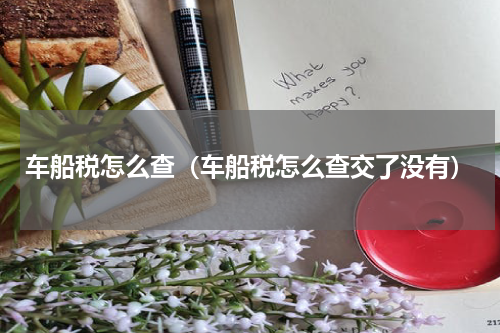 车船税怎么查（车船税怎么查交了没有）