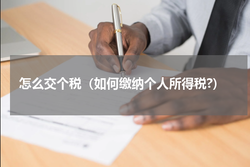 怎么交个税（如何缴纳个人所得税?）