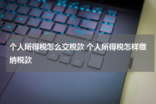 个人所得税怎么交税款 个人所得税怎样缴纳税款