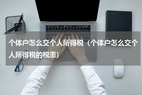 个体户怎么交个人所得税（个体户怎么交个人所得税的税率）