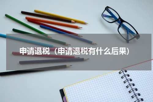 申请退税（申请退税有什么后果）