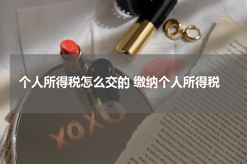 个人所得税怎么交的 缴纳个人所得税