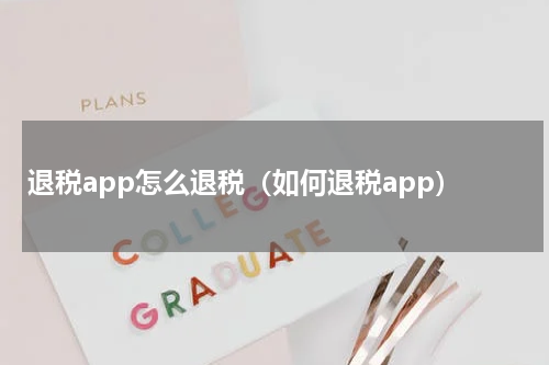 退税app怎么退税（如何退税app）