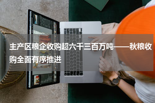 主产区粮企收购超六千三百万吨——秋粮收购全面有序推进