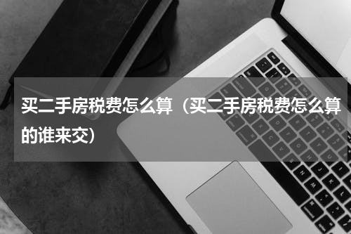 买二手房税费怎么算（买二手房税费怎么算的谁来交）