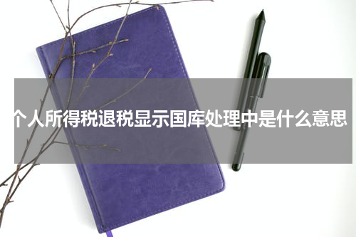 个人所得税退税显示国库处理中是什么意思