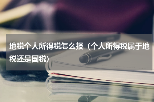 地税个人所得税怎么报（个人所得税属于地税还是国税）