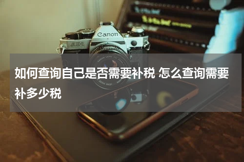 如何查询自己是否需要补税 怎么查询需要补多少税
