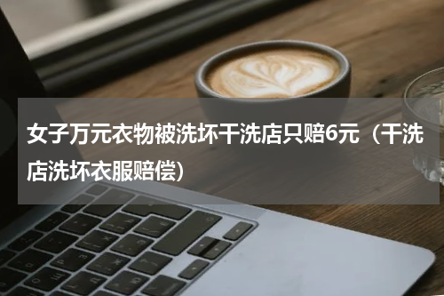女子万元衣物被洗坏干洗店只赔6元（干洗店洗坏衣服赔偿）
