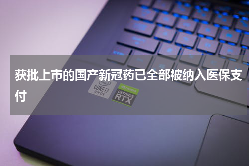 获批上市的国产新冠药已全部被纳入医保支付
