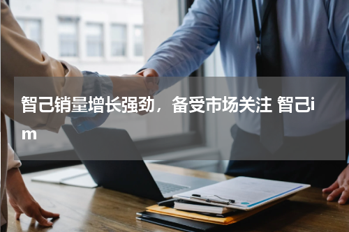 智己销量增长强劲，备受市场关注 智己im