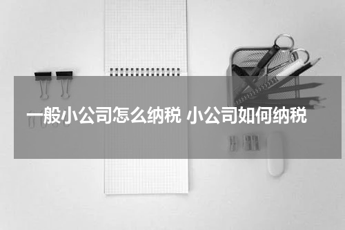 一般小公司怎么纳税 小公司如何纳税