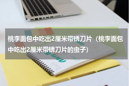桃李面包中吃出2厘米带锈刀片（桃李面包中吃出2厘米带锈刀片的虫子）