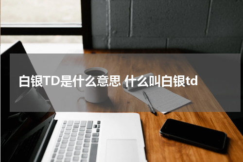 白银TD是什么意思 什么叫白银td