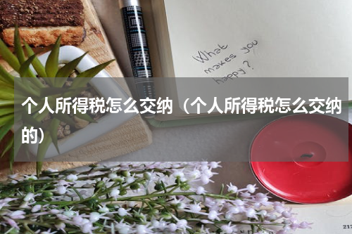个人所得税怎么交纳（个人所得税怎么交纳的）