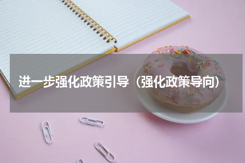进一步强化政策引导（强化政策导向）
