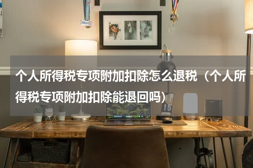 个人所得税专项附加扣除怎么退税（个人所得税专项附加扣除能退回吗）