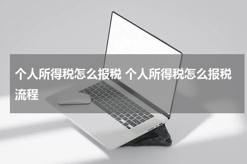 个人所得税怎么报税 个人所得税怎么报税流程