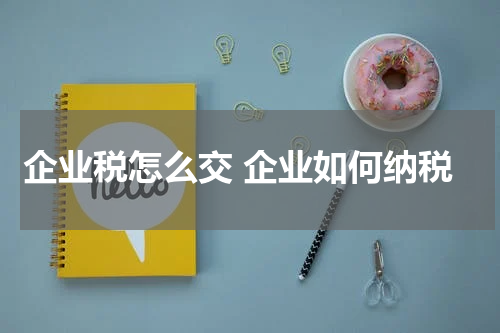 企业税怎么交 企业如何纳税