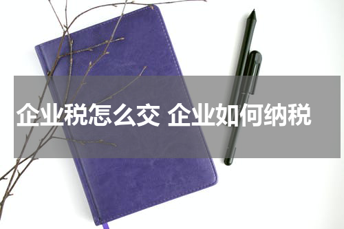 企业税怎么交 企业如何纳税