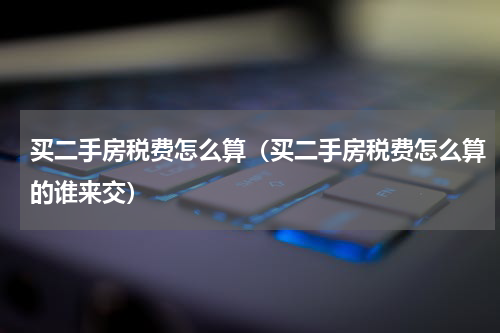 买二手房税费怎么算（买二手房税费怎么算的谁来交）