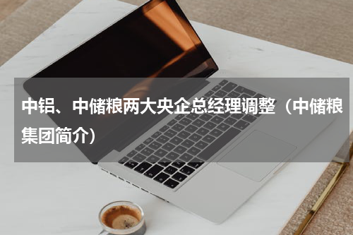 中铝、中储粮两大央企总经理调整（中储粮集团简介）