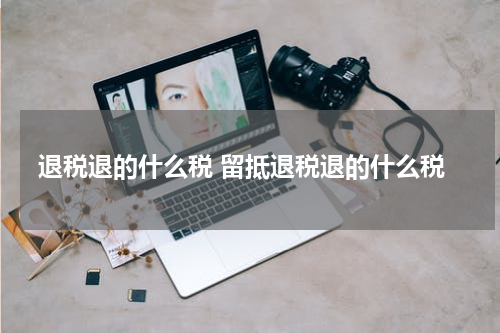 退税退的什么税 留抵退税退的什么税