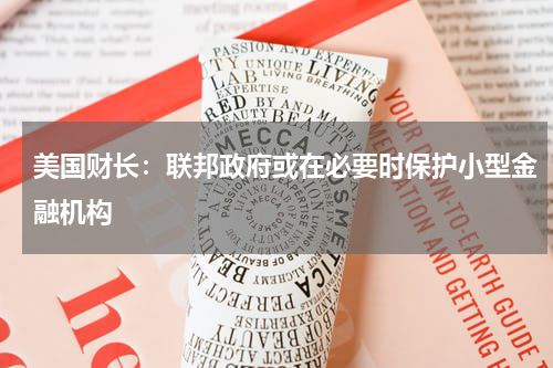 美国财长：联邦政府或在必要时保护小型金融机构