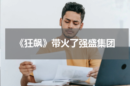 《狂飙》带火了强盛集团