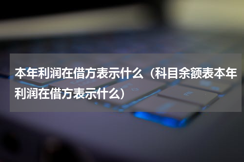 本年利润在借方表示什么（科目余额表本年利润在借方表示什么）