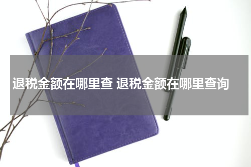 退税金额在哪里查 退税金额在哪里查询