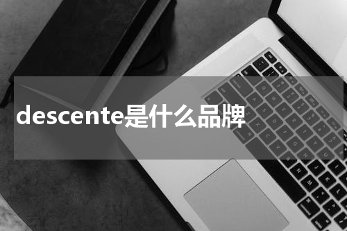 descente是什么品牌