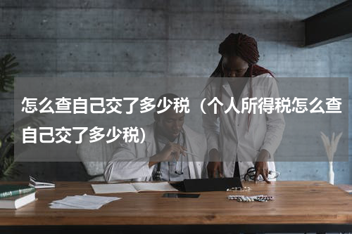 怎么查自己交了多少税（个人所得税怎么查自己交了多少税）