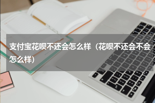 支付宝花呗不还会怎么样（花呗不还会不会怎么样）
