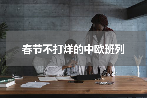 春节不打烊的中欧班列
