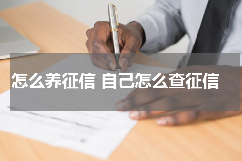 怎么养征信 自己怎么查征信