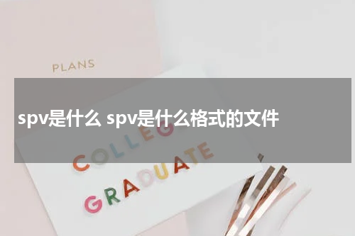 spv是什么 spv是什么格式的文件