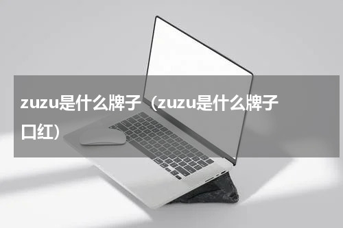 zuzu是什么牌子（zuzu是什么牌子口红）
