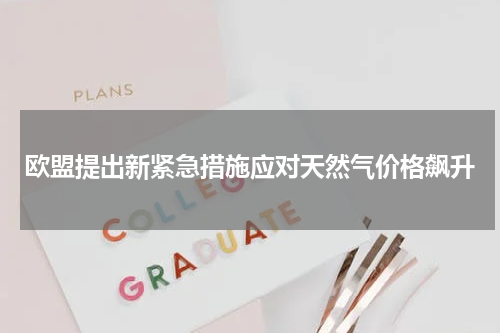 欧盟提出新紧急措施应对天然气价格飙升