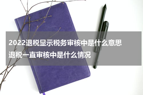 2022退税显示税务审核中是什么意思 退税一直审核中是什么情况