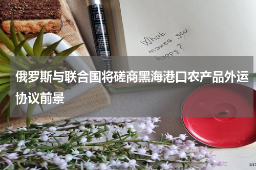 俄罗斯与联合国将磋商黑海港口农产品外运协议前景
