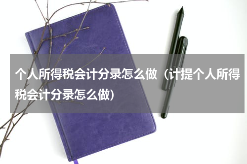 个人所得税会计分录怎么做（计提个人所得税会计分录怎么做）