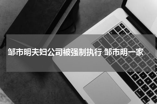 邹市明夫妇公司被强制执行 邹市明一家