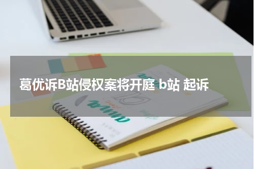 葛优诉B站侵权案将开庭 b站 起诉
