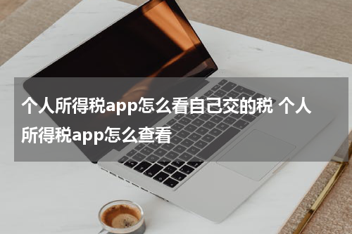 个人所得税app怎么看自己交的税 个人所得税app怎么查看