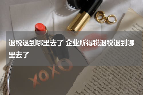 退税退到哪里去了 企业所得税退税退到哪里去了