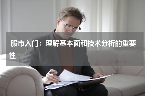  股市入门：理解基本面和技术分析的重要性